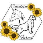 Cardosa Farms Golden Retrievers Carlsbad CA Cardosa Farms Golden Retrievers Carlsbad CA