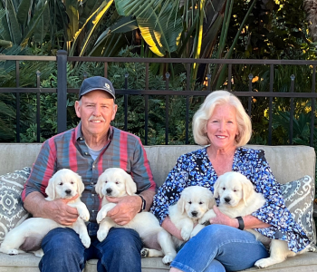 Cardosa Farms Golden Retrievers owned by Mike and Nancy Cardosa