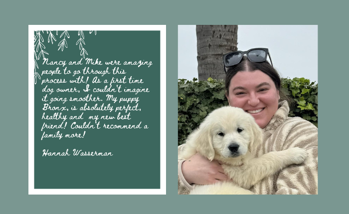 Hannah Wasserman - Cardosa Farms Golden Retrievers.